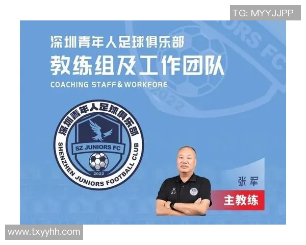 深圳足球队比赛经验引发热议球迷与专家观点交锋分析