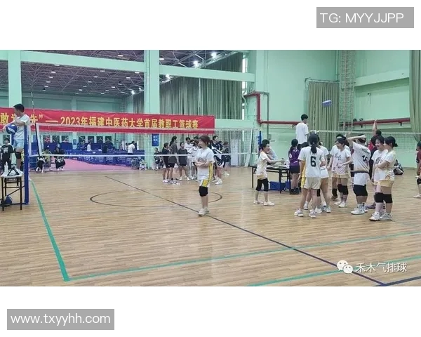 上海排球队的灵活性探讨:战术创新与团队协作的完美结合 上海排球队的灵活性探讨:战术创新与团队协作的完美结合