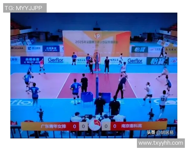 南京排球队实力揭秘：从训练到比赛的全景探索与分析