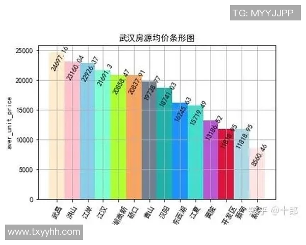 武汉足球队耐力表现数据分析与战术优化研究