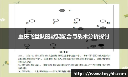 KY开元